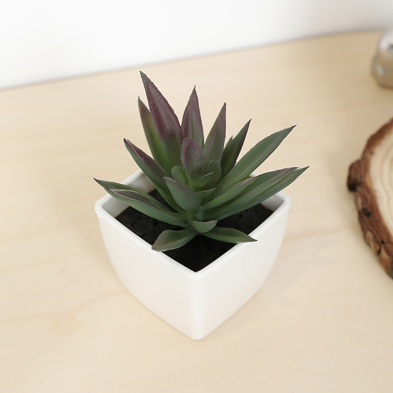 Victory Home Decor - Mini Artificial Succulent Fairy Cup Small