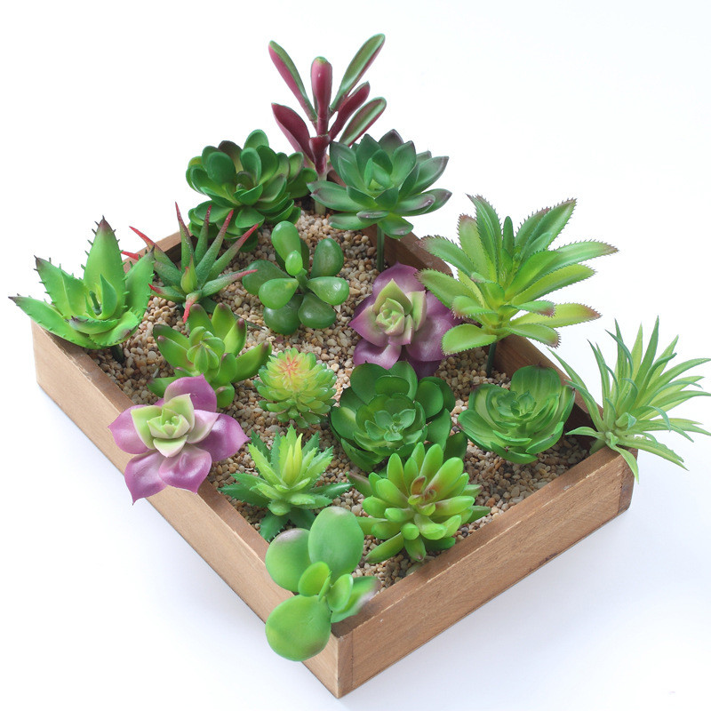 2021 Artificial Succulents Pla - Victory Home Decor 评论和价格