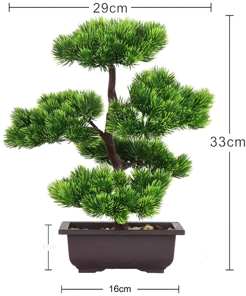 Japanese Pine Bonsai Plant for - Victory Home Decor 评论和价格