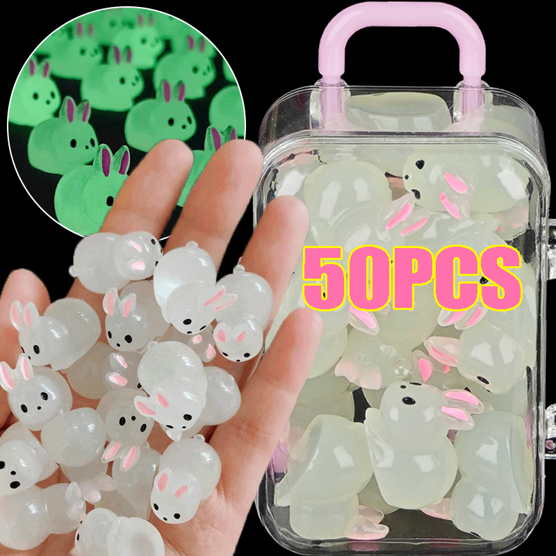 50/2Pcs Mini Glow Rabbit Ornam - Home Decor Aesthetic Pinterest 评论和价格