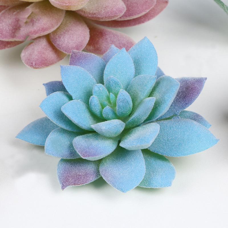 DIY Simulated Succulent Plants - Victory Home Decor 评论和价格