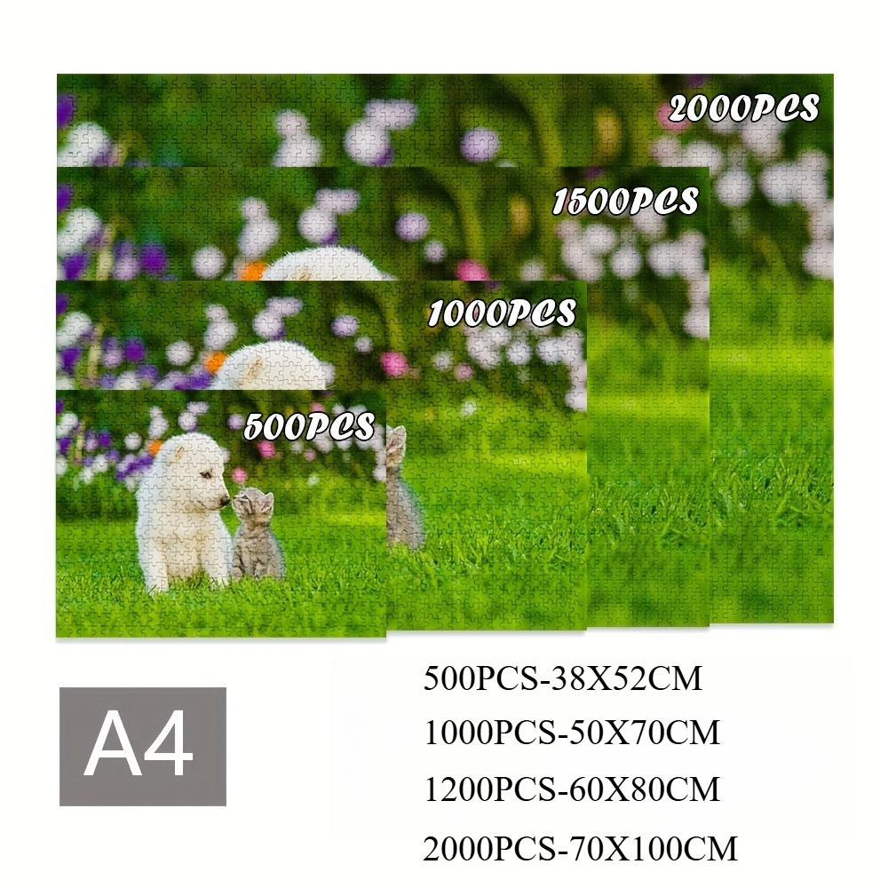 1 Box of 500/1000/1200/2000PCS - Home Decor Under 500 评论和价格