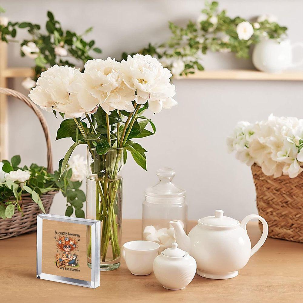 Cute Acrylic Cat Desk Decor, C - Home Decor How To 评论和价格