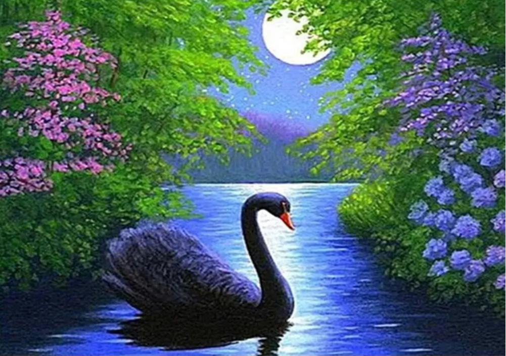 1000/500 PCS Jigsaw Black Swan - Home Decor Under 500 评论和价格