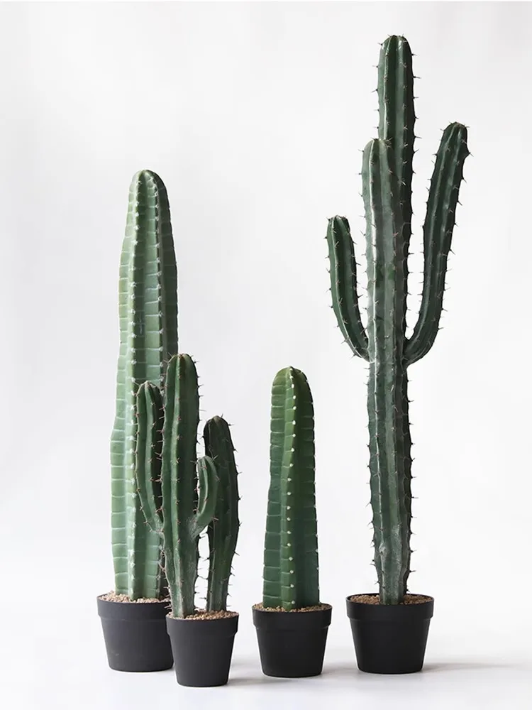 Cactus Artificial Plants Aesth - Victory Home Decor 评论和价格