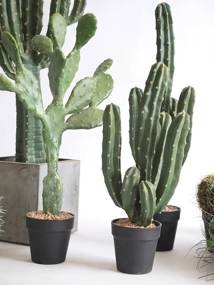 Cactus Artificial Plants Aesth - Victory Home Decor 评论和价格