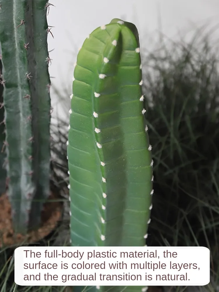 Cactus Artificial Plants Aesth - Victory Home Decor 评论和价格