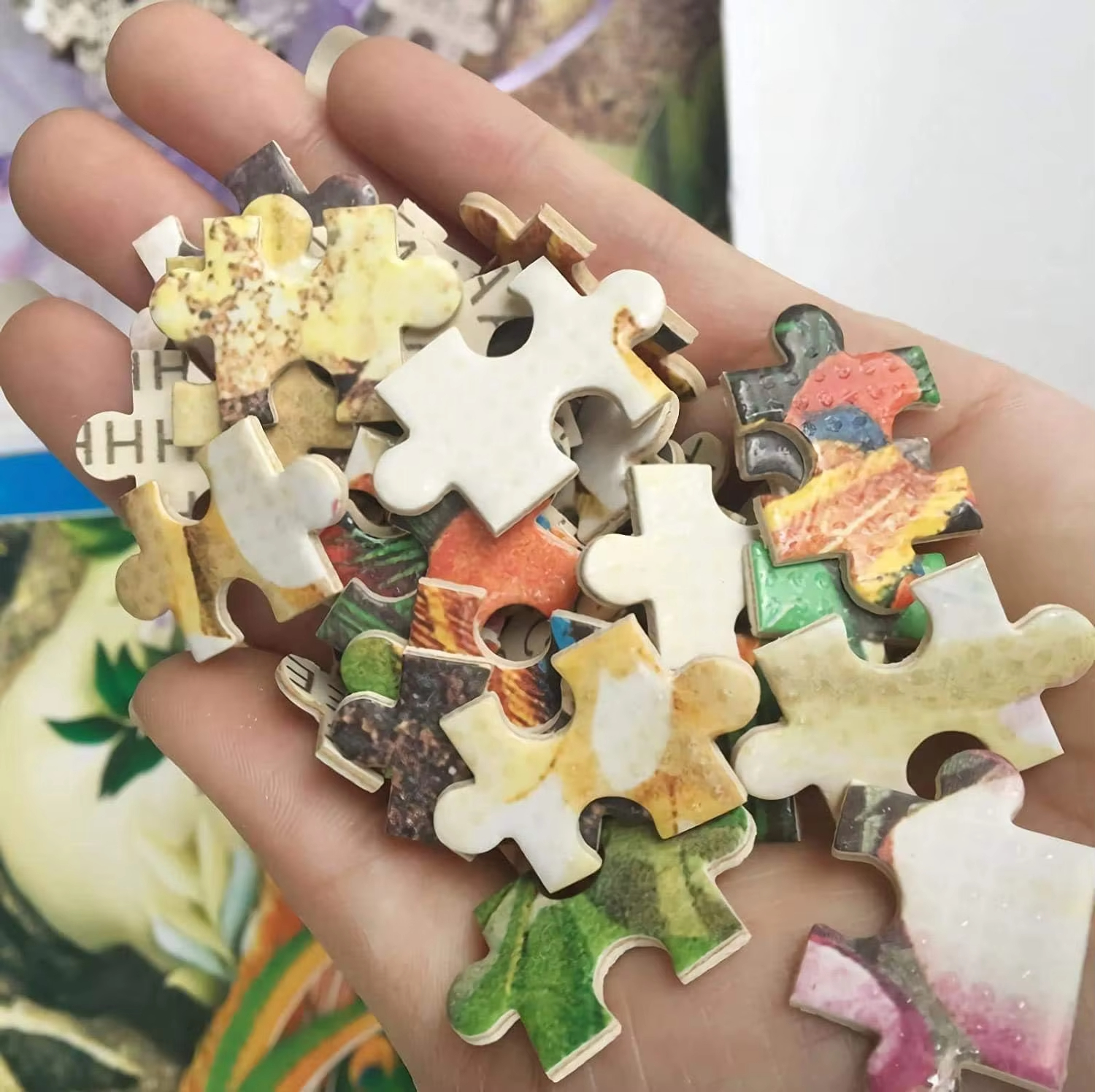 Cruise Under The Colorful Star - Home Decor Under 500 评论和价格