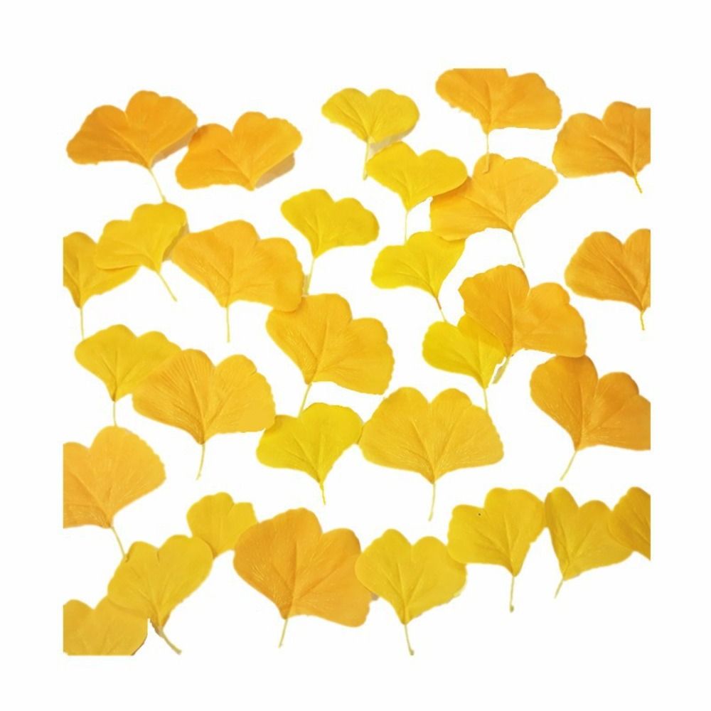 100PCS Artificail Ginkgo Leave - Victory Home Decor 评论和价格