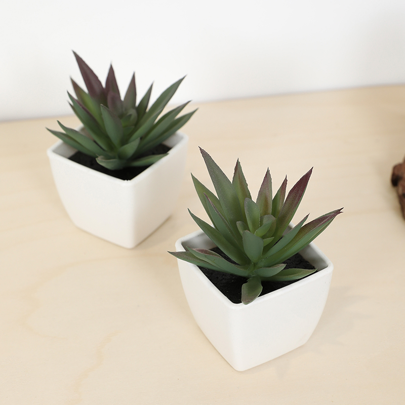 Mini Artificial Succulent Fair - Victory Home Decor 评论和价格