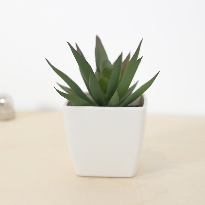 Mini Artificial Succulent Fair - Victory Home Decor 评论和价格