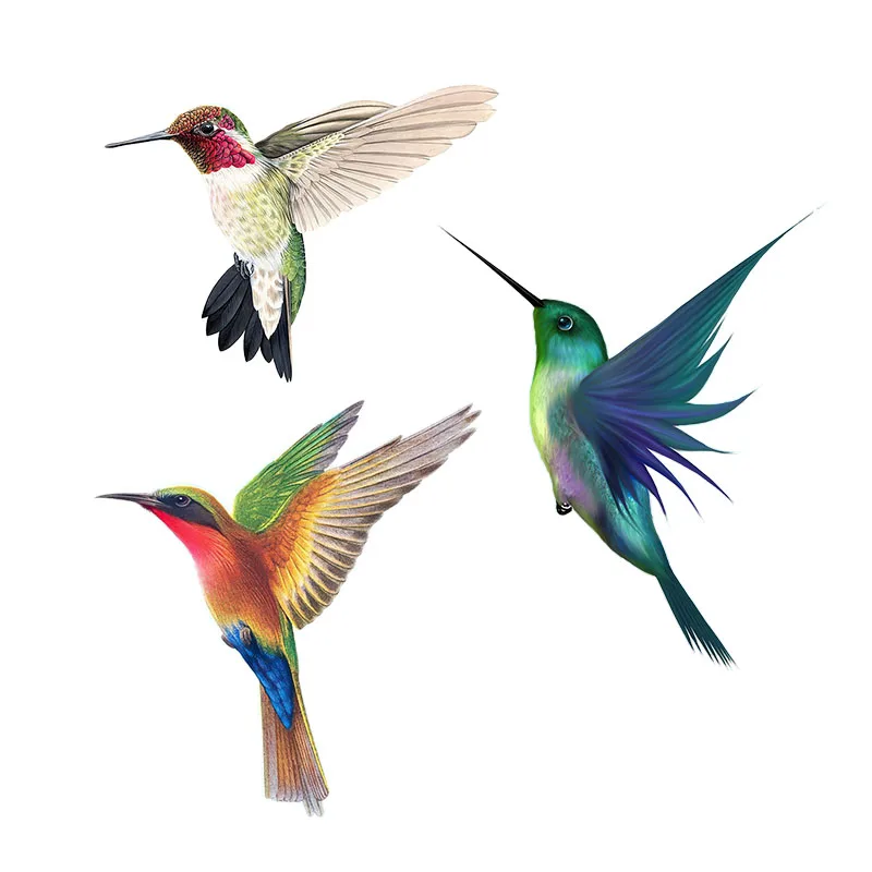 Beautiful Hummingbird Hand Pai - Home Decor Aesthetic Pinterest 评论和价格