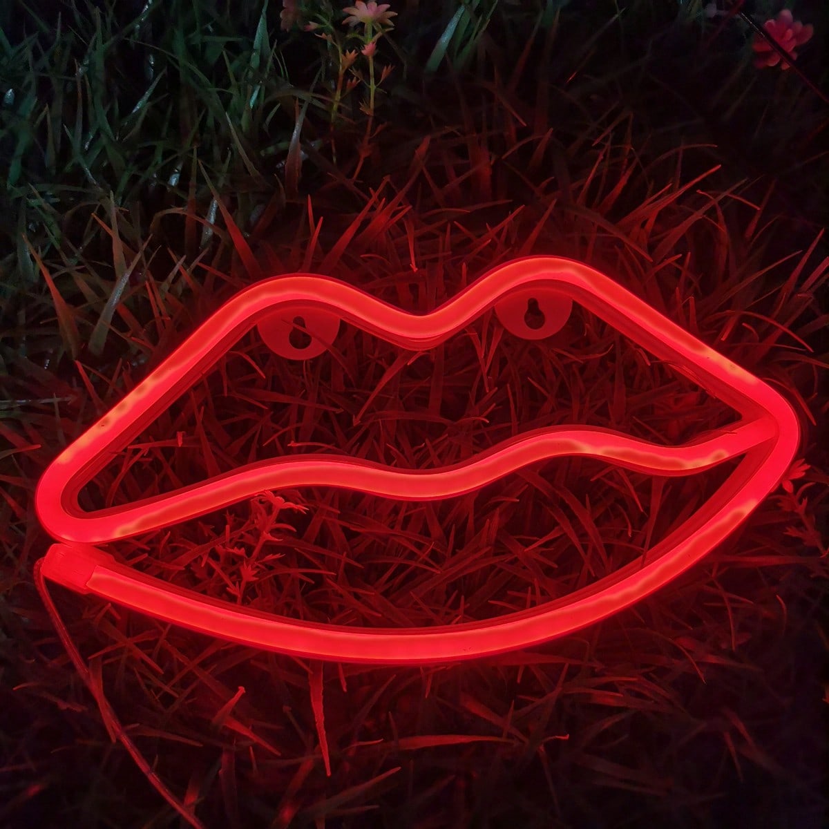 1 Pack Red Lips LED Neon Sign, - Home Decor Lamp 评论和价格