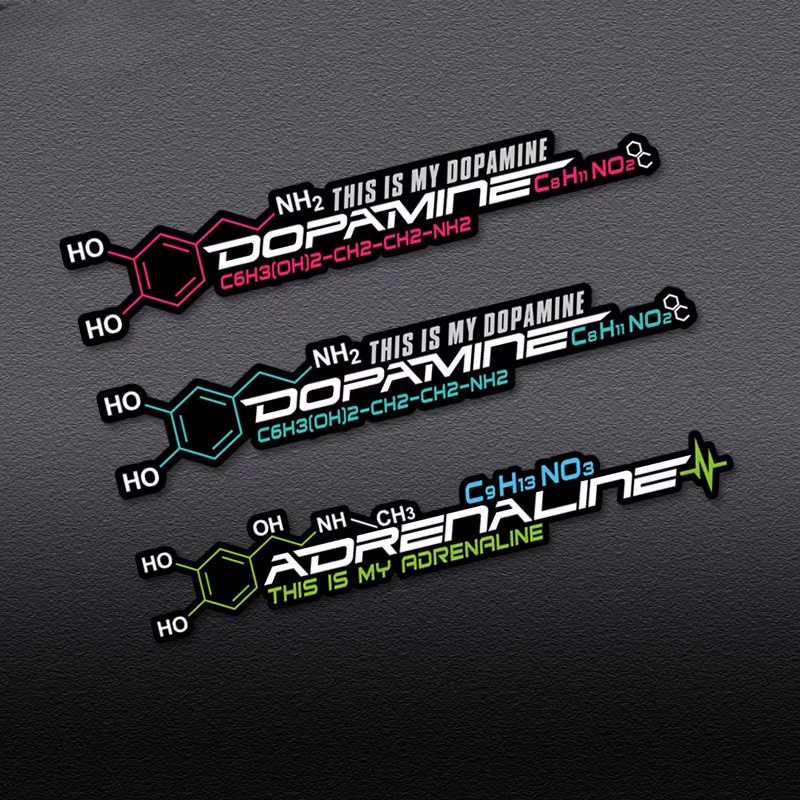 2 Dopamine Molecular Cycle Box - Home Decor Dopamine 评论和价格
