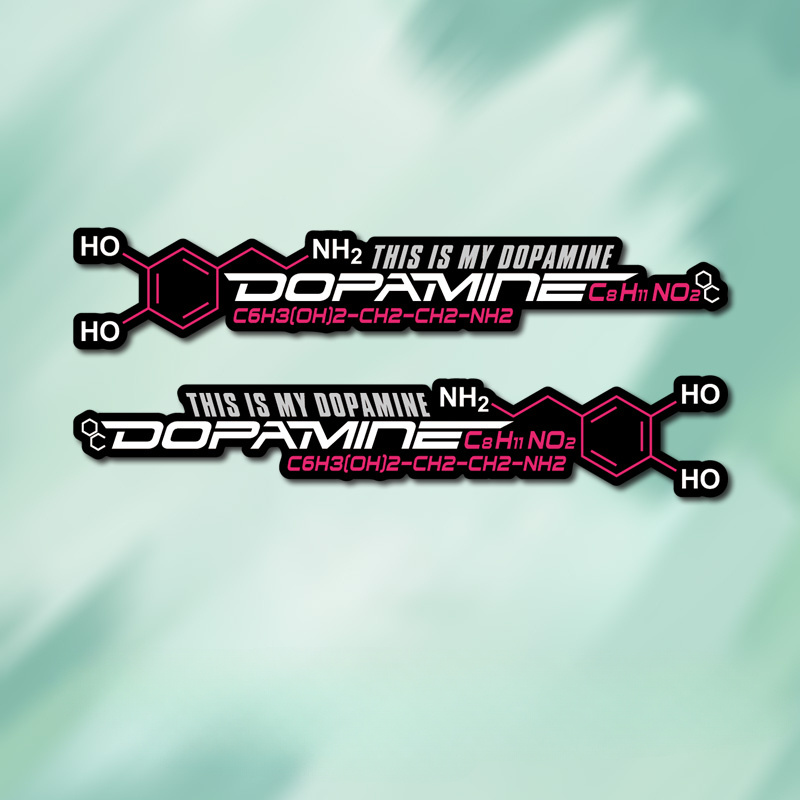 2 Dopamine Molecular Cycle Box - Home Decor Dopamine 评论和价格