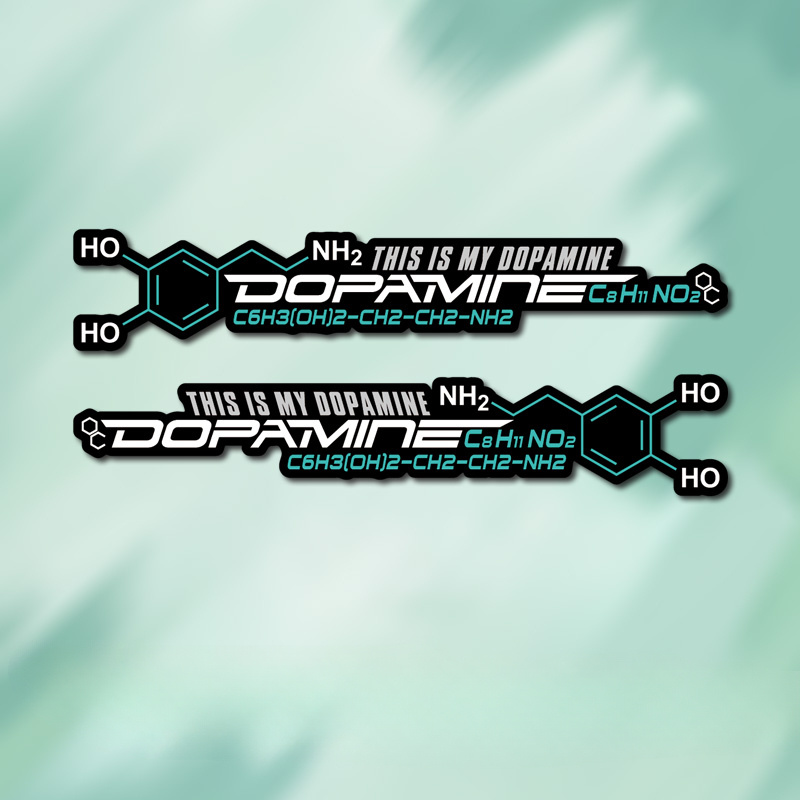 2 Dopamine Molecular Cycle Box - Home Decor Dopamine 评论和价格