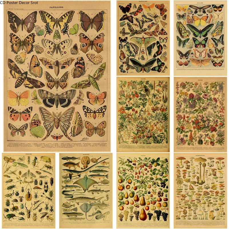 Butterfly Insect Flower Mushro - Home Decor Scrap 评论和价格
