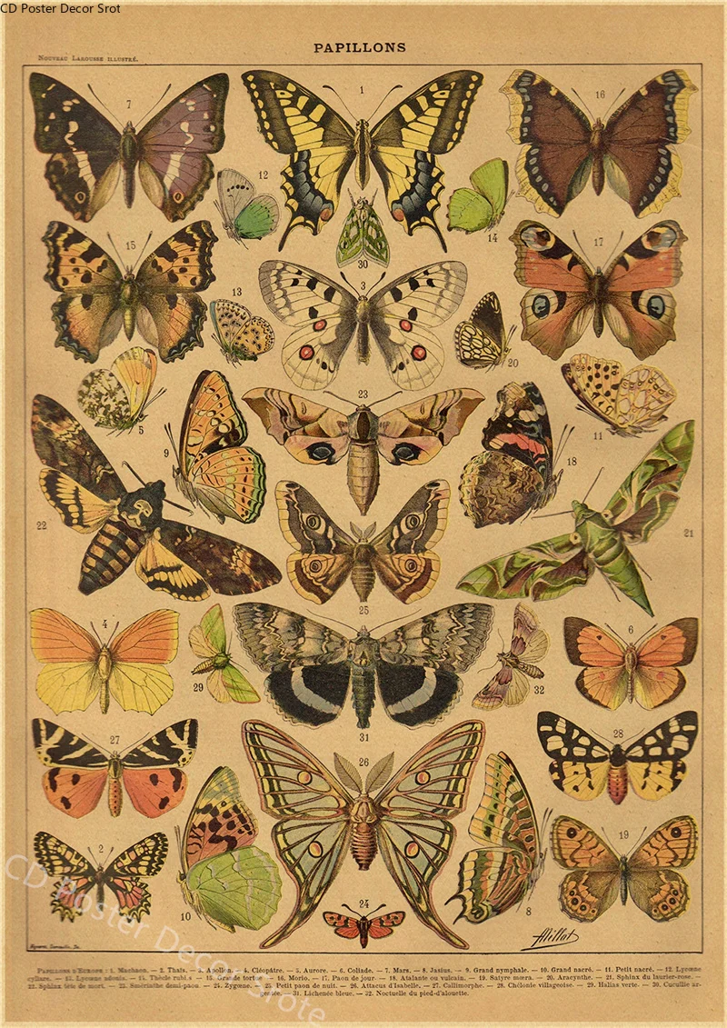 Butterfly Insect Flower Mushro - Home Decor Scrap 评论和价格